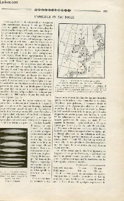 La nature n 2746 - L'anguille en eau douce par Bertin, Les incriptions de Glozel par Butavand, Un bel exemple de 