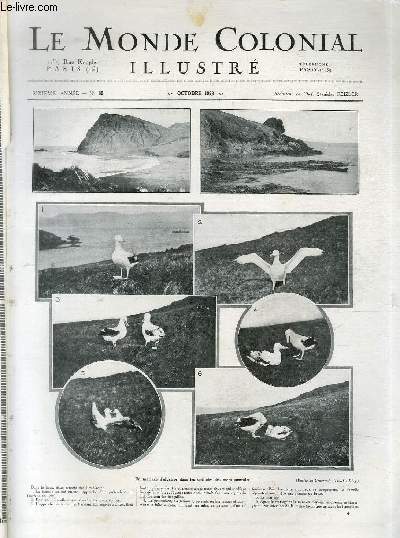 Le monde colonial illustr n 62 - Un mariage d'albatros dans les solitudes des mers australes.