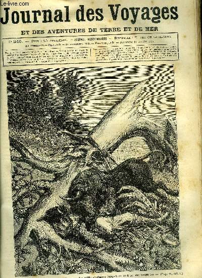 Journal des voyages et des aventures de terre et de mer n 340 - Chasse aux buffles dans l'Indo-Chine - Le buffle s'acharna jusqu'a ce qu'il lui eut broy les os, Le coq rouge, XIII, Les drames de l'Afrique australe, chapitre XII, Les robinsons