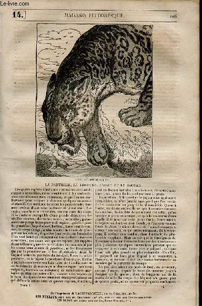 LE MAGASIN PITTORESQUE - Livraison n0014 - La panthre, le lopard , l'onge et le jaguar.