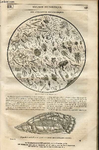 LE MAGASIN PITTORESQUE - Livraison n0019 - Des animalcules microscopiques.