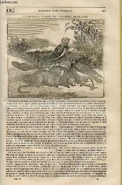 LE MAGASIN PITTORESQUE - Livraison n019 - Les hibous  clapier et les chiens de prairie.