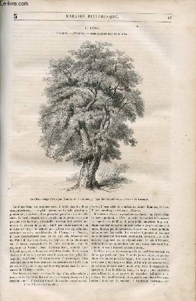 LE MAGASIN PITTORESQUE - Livraison n003 - Le lige - l'arbre, l'corce, fabrication des bouchons.
