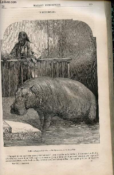 LE MAGASIN PITTORESQUE - Livraison n°032 - Un hippopotame.