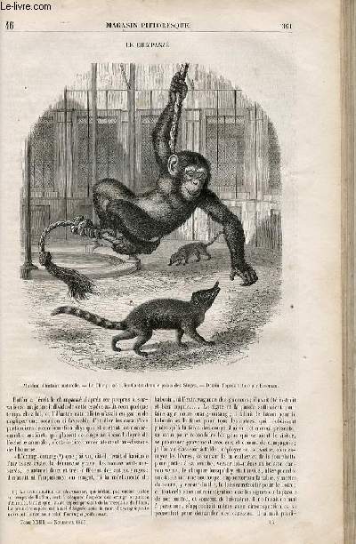 LE MAGASIN PITTORESQUE - Livraison n046 - Le chimpanz.