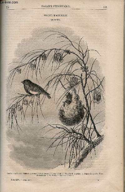 LE MAGASIN PITTORESQUE - Livraison n015 - Oiseaux d'Australie - ls dices .