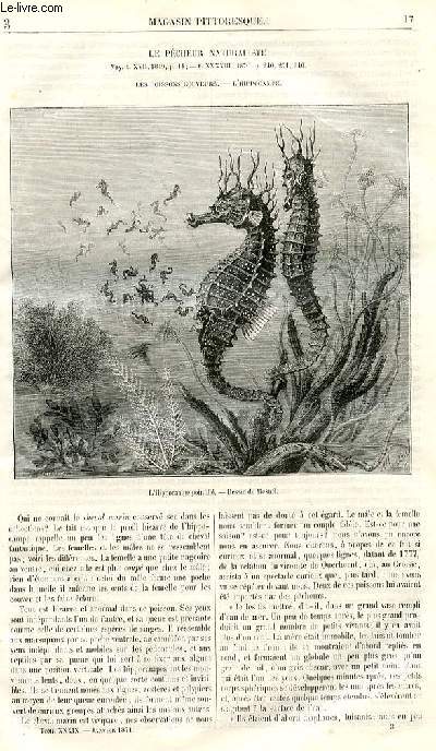 LE MAGASIN PITTORESQUE - Livraison n03 - Le pcheur naturaliste - les poissons couveurs, l'hippocampe.