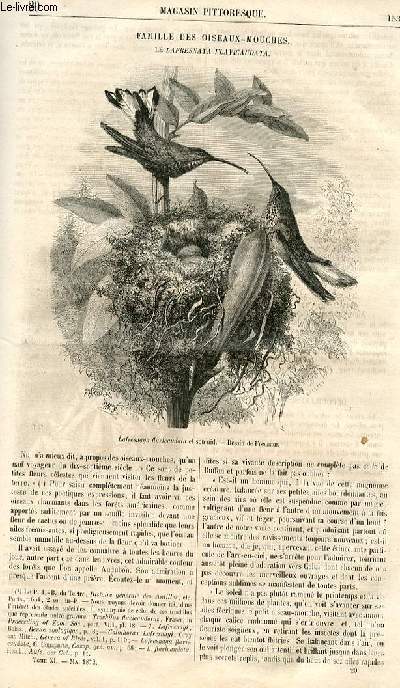 LE MAGASIN PITTORESQUE - Livraison n20 - Famille des oiseaux-mouches - la lafresnaya flavigaudata.