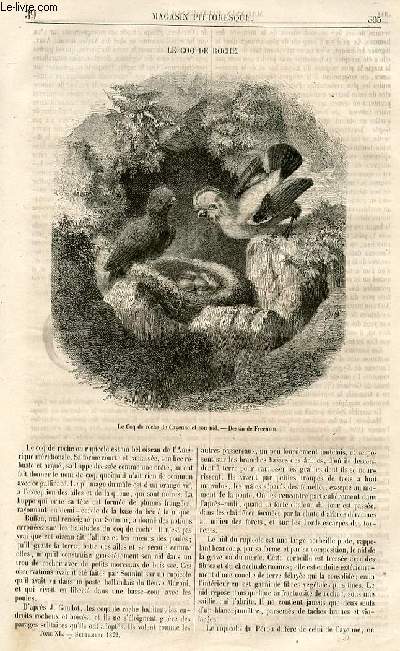 LE MAGASIN PITTORESQUE - Livraison n39 - Le coq de roche.