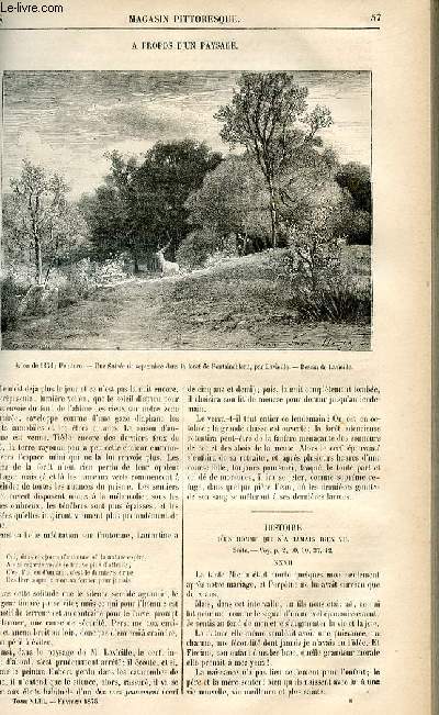LE MAGASIN PITTORESQUE - Livraison n08 - A propos d'un paysage.