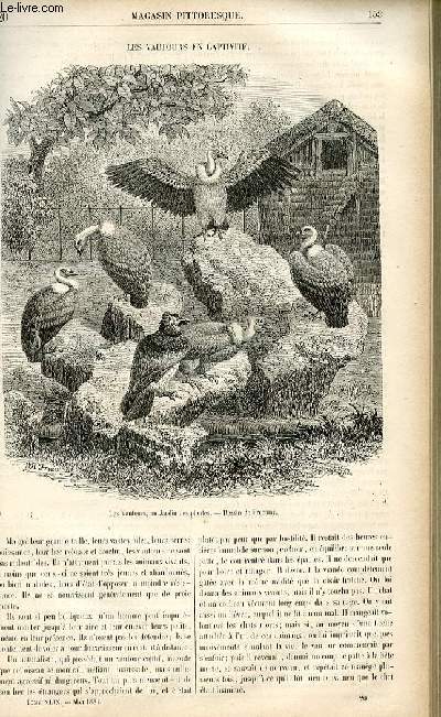 LE MAGASIN PITTORESQUE - Livraison n°20 - Les vautours en captivité.