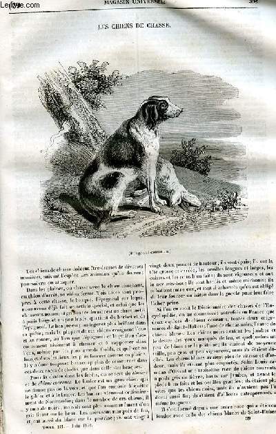 Le magasin universel - tome troisime - Livraison n39 - Les chiens de chasse.