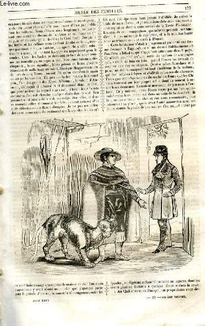 Le muse des familles - lecture du soir - 1re srie - livraison n23 - Voyages - des histoires de chasse par un gant jaune,suite et fin.