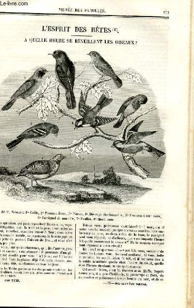 Le muse des familles - lecture du soir - deuxime srie - livraisons n35 et 36 - L'esprit des btes - A quelle heure se rveillent les osieaux par Prosper Tourneux.