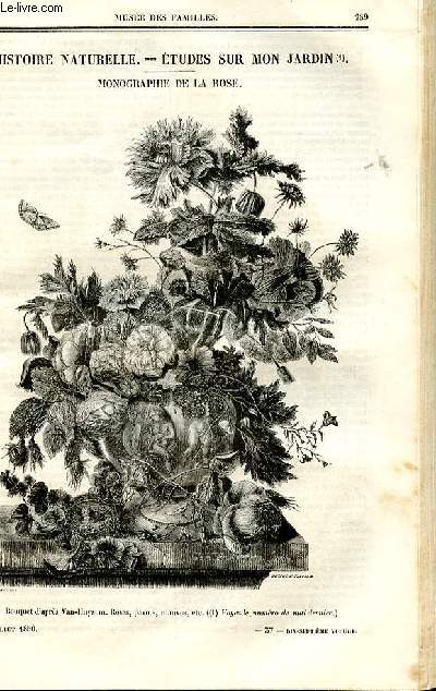 Le muse des familles - lecture du soir - deuxime srie - livraisons n37 et 38 - Histoire naturelle - Etudes sur mon jardin - monographie de la rose par Jardinier.