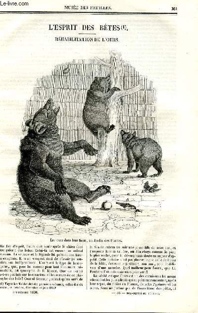 Le muse des familles - lecture du soir - deuxime srie - livraison n46 - L'esprit des btes - rhabilitation de l'ours par De Chatouville.