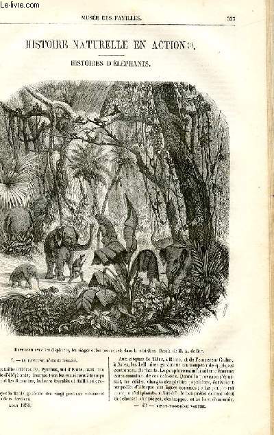 Le muse des familles - lecture du soir - livraisons n43 et 44 - Histoire naturelle en action - Histoires d'lphants par Mry, suivre .