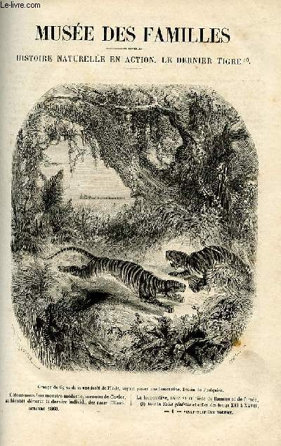 Le muse des familles - lecture du soir - livraison n01- Histoire naturelle en action - le dernier tigre par Mry, suivre.