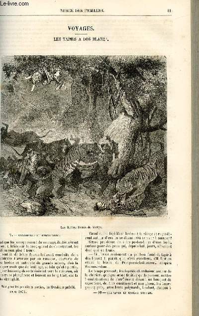 Le muse des familles - lecture du soir - livraison n10 - Voyages - les tapirs  dos blanc par Dubarry,suite.