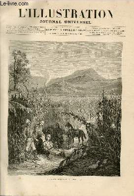 L'ILLUSTRATION JOURNAL UNIVERSEL N 1897 - GRAVURES et leurs ARTICLES : un champs de mas dans le Zoulouland - types de Zoulous - le cabinet de travail du prince imprial  Chislehurst - l'insurrection d'Algrie : le col et le village de Touba - le nid...