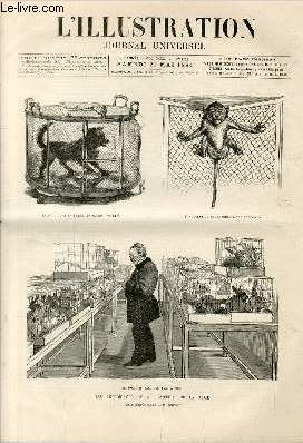 L'ILLUSTRATION JOURNAL UNIVERSEL N 2153-Gravures : Les expriences de M. Pasteur sur la rage - le roi et la reine des Pays-Bas  Bruxelles - l'exposition de Nice - Chateau de Pelesh,  Sinaa : rsidence d't du roi Charles 1er de Roumanie - la statue..