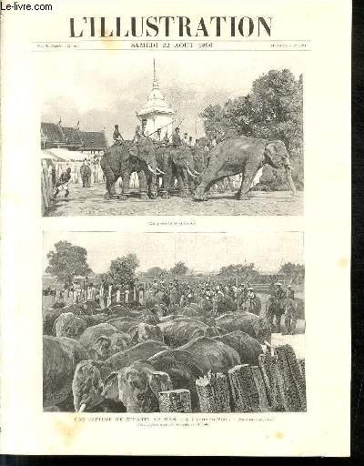L'ILLUSTRATION JOURNAL UNIVERSEL N 2791 - Gravures: une capture d'lphants au Siam,  la porte du Kraal (voir l'article page 143), photographies prises d'apres nature par M.Lalo par Bellenger / Articles: une capture d'lphants au Siam - le bateau...