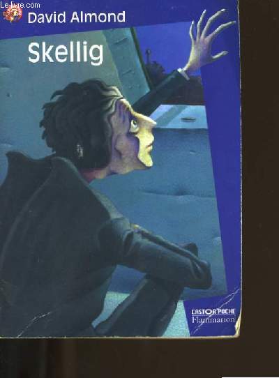 SKELLIG N733.