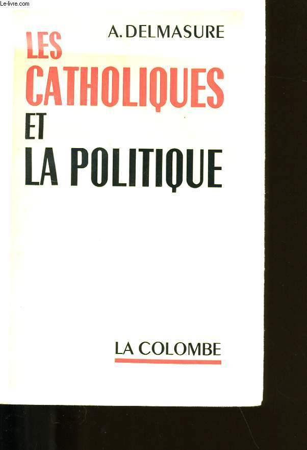 LES CATHOLIQUES ET LA POLITIQUE.