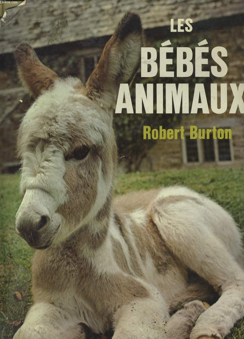 LES BEBES ANIMAUX.