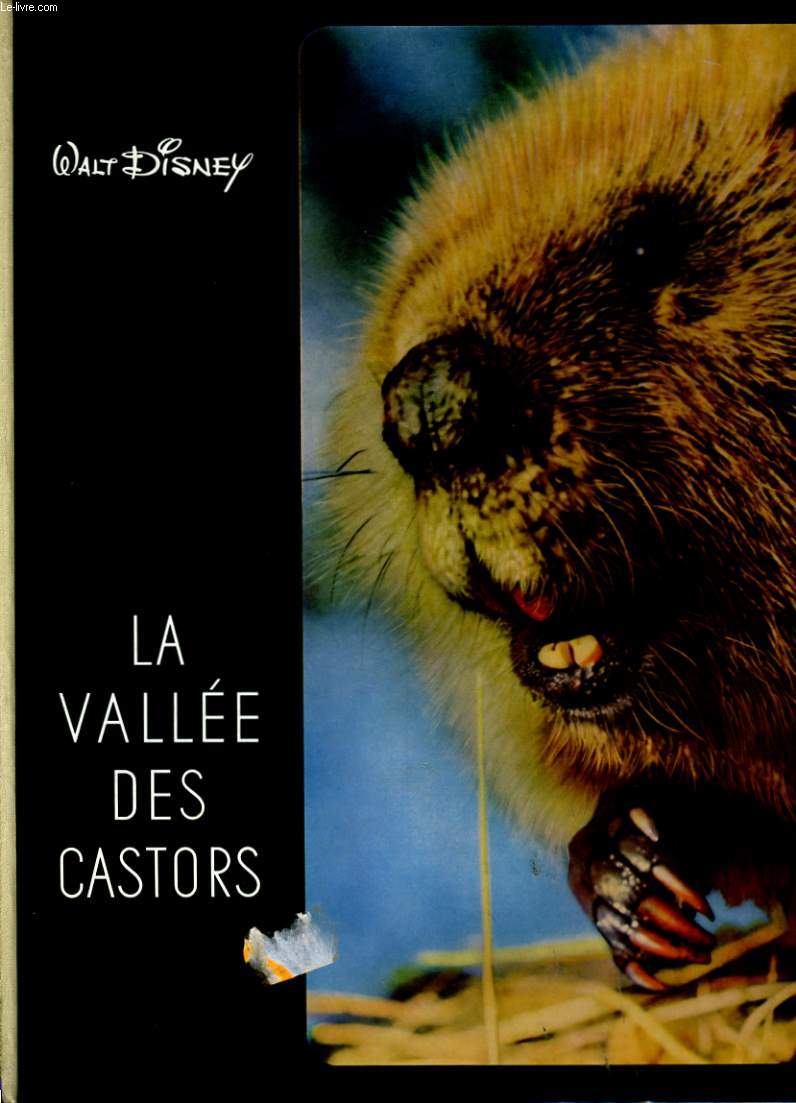 LA VALLEE DES CASTORS.