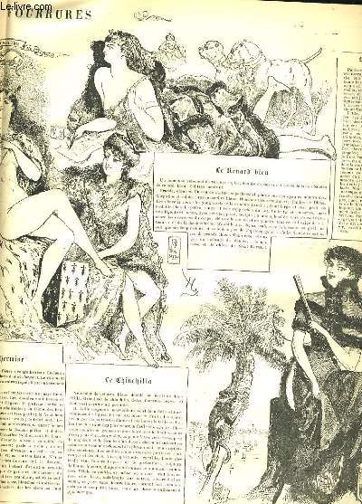 LA VIE PARISIENNE 20e anne - N 12 - PERDI COMTE de HEB. - MIOUSIC! de DON G. - FEMMES ET FOURRURES - DANS LE MONDE... CELESTE (soire annuelle de l'observatoire).