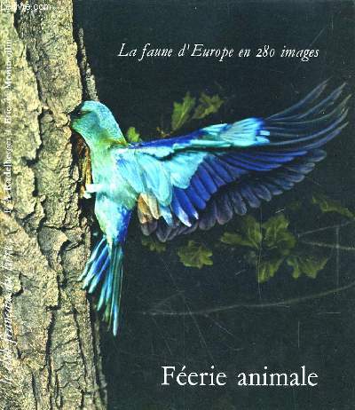 LA FAUNE D'EUROPE EN 280 IMAGES FEERIE ANIMALE