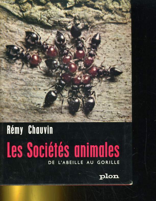 LES SOCIETES ANIMALES DE L'ABEILLE AU GORILLE