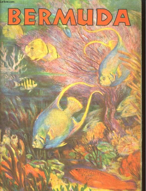 BERMUDA