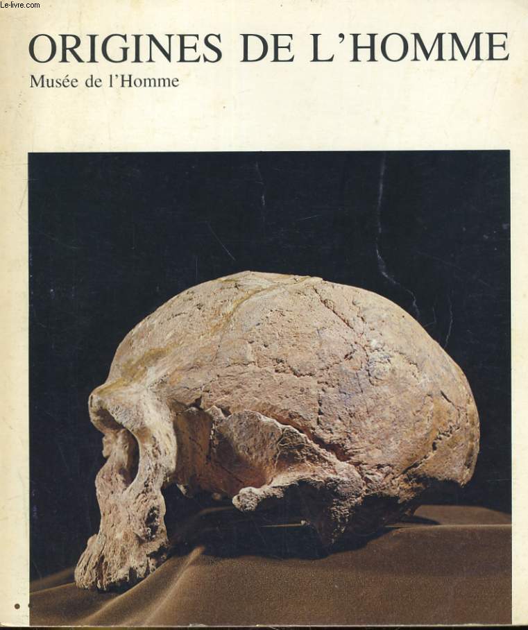 ORIGINES DE L'HOMME