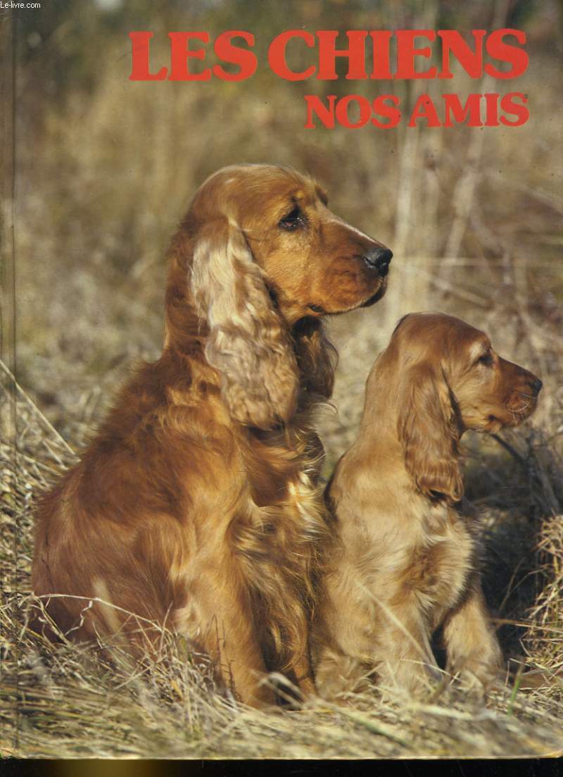 LES CHIENS, NOS AMIS