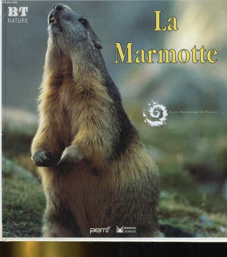 LA MARMOTTE