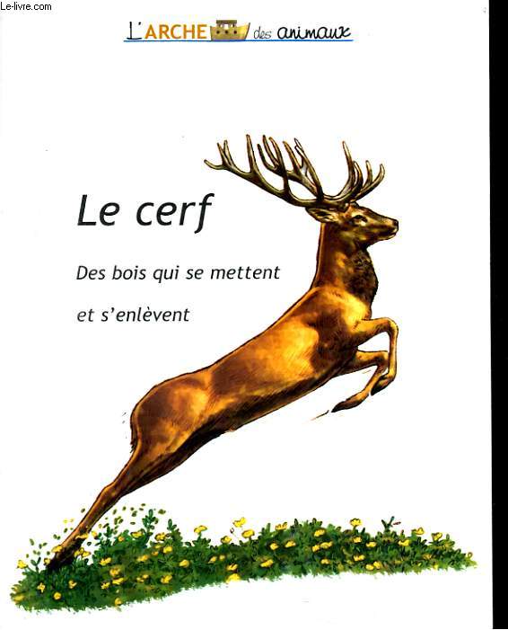 LE CERF, DES BOIS QUI SE METTENT ET S'ENLEVENT