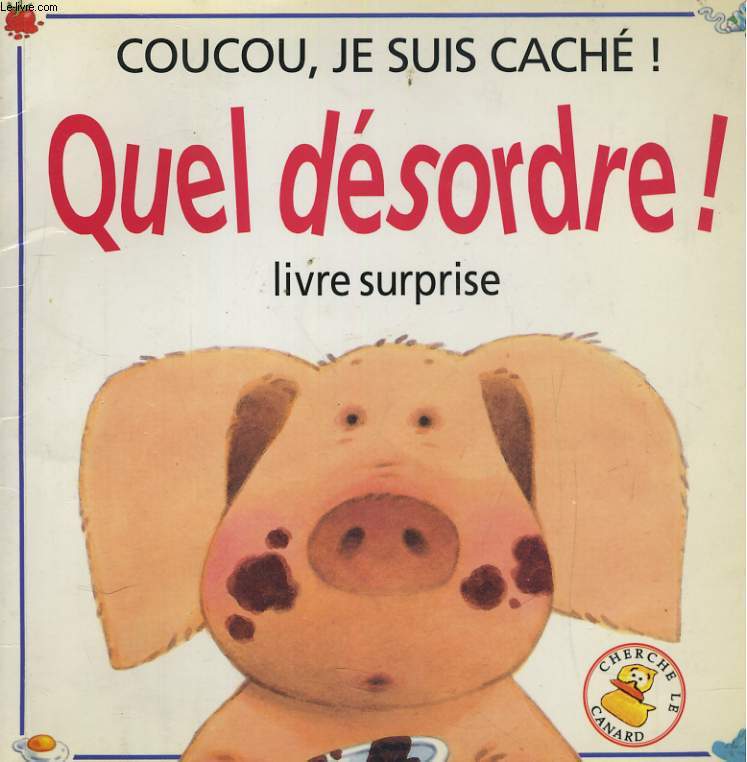 QUEL DESORDRE! LIVRE SURPRISE