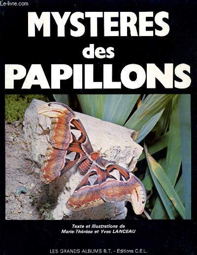 MYSTERES DES PAPILLONS