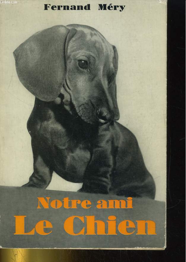 NOTRE AMI LE CHIEN (AVOIR UN CHIEN)