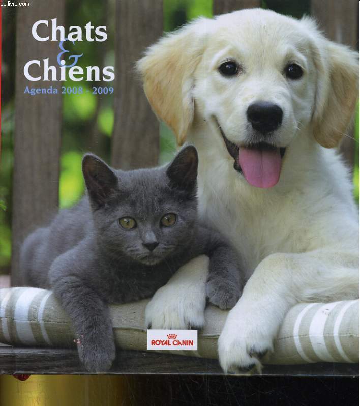 CHATS & CHENS AGENDA 2008-2009