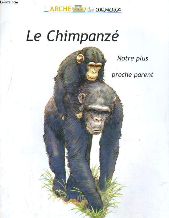 LE CHIMPANZE, NOTRE PLUS PROCHE PARENT