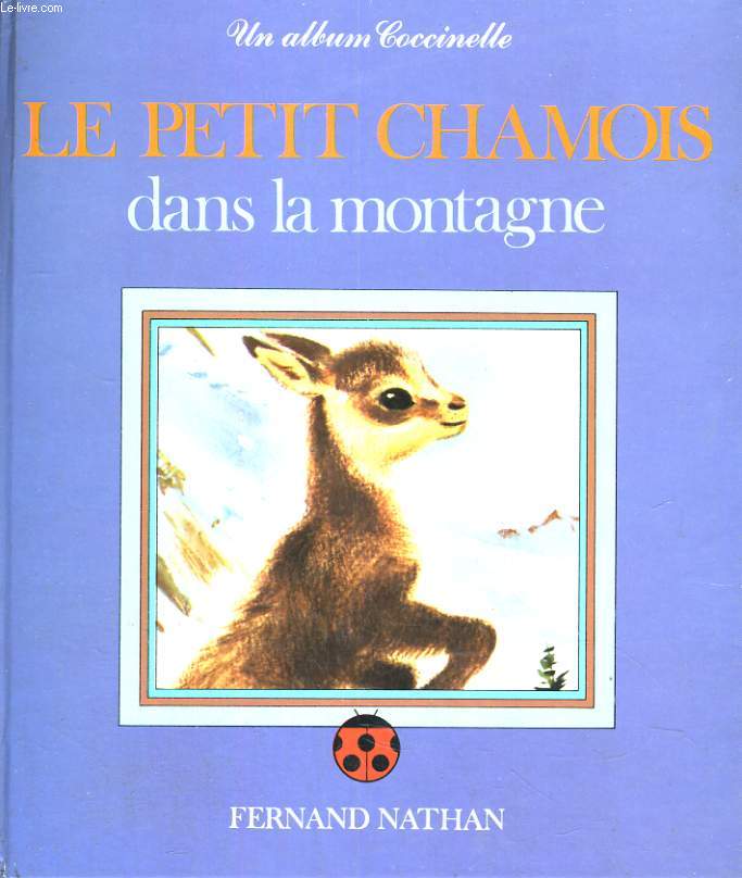 LE PETIT CHAMOIS DANS LA MONTAGNE