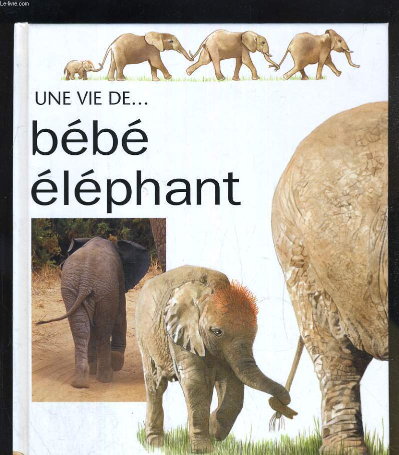 UNE VIE DE ... BEBE ELEPHANT