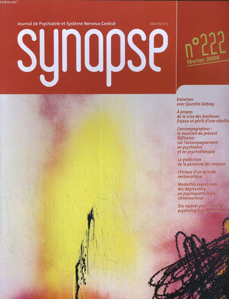 SYNAPSE N222 - A PROPOS DE LA CRISE DES BANLIEUE ENJEUX ET PERILS D'UNE REBELLION