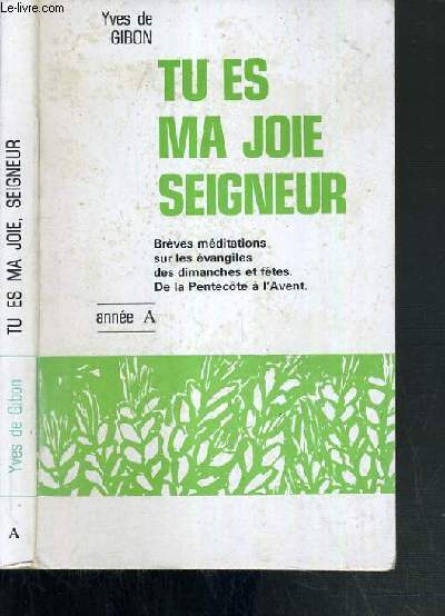 TU ES MA JOIE SEIGNEUR - ANNEE A - COURTS COMMENTAIRES DES EVANGILES DU DIMANCHE - DE L'AVENT A LA PENTECOTE.