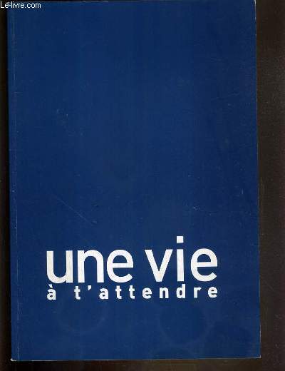 PLAQUETTE DE FILM - UNE VIE A T'ATTENDRE - un film de thierry klifa avec nathalie baye, patrick bruel, geraldine pailhas, anouk grinberg...