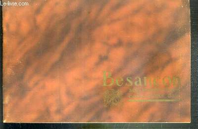 BESANCON - SON MUSEE ET SES COLLECTION D'ART