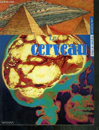LE CERVEAU / COLLECTION MEGASCOPE - UNE HISTOIRE ET PLEIN D'INFOS